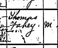 Thomas Fahy's death record