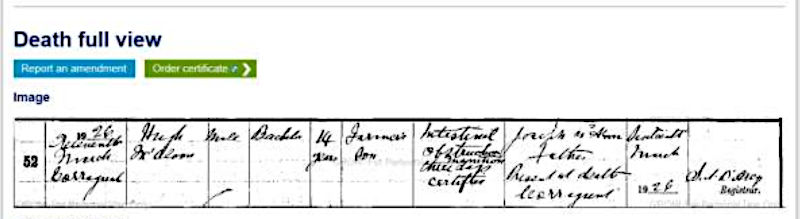 Young Hugh McAloon's death certificate