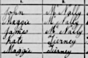 Catherine Tierney 1911 census