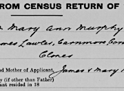 M.A.Murphy census entry