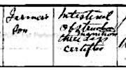 Ellen McAloon immigration record